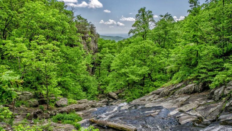 Which Tournaments Are Accessible Through 11Xplay Play Pro?